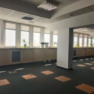 Lokal na wynajem