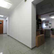Lokal na wynajem