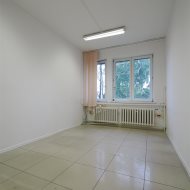 Lokal na wynajem