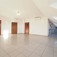Lokal na wynajem
