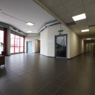 Lokal na wynajem