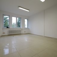 Lokal na wynajem