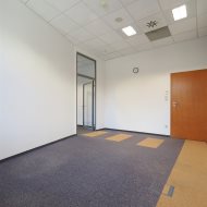 Lokal na wynajem