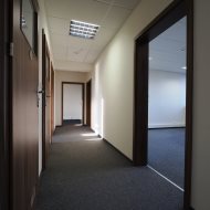 Lokal na wynajem