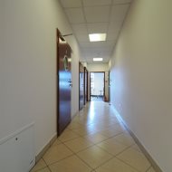 Lokal na wynajem