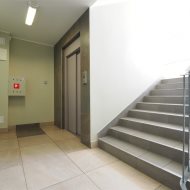 Lokal na wynajem