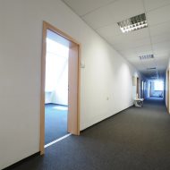 Lokal na wynajem