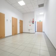 Lokal na wynajem